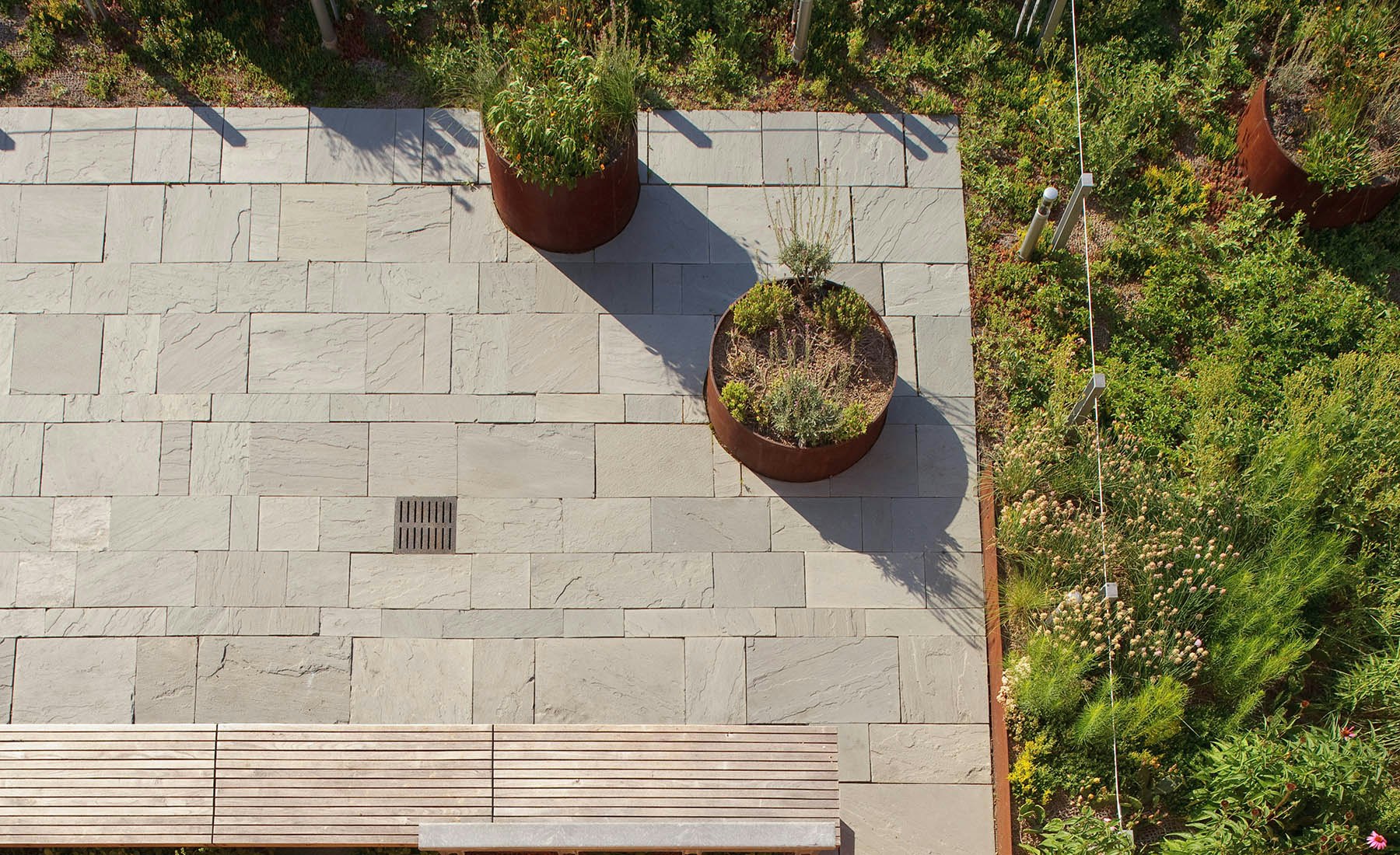 The green roof is conceived and designed as a demonstration of three distinct green roof planting strategies.